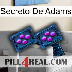 Adams Secret 03